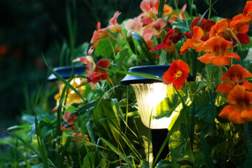 Die LED-Beleuchtung kann in jedem Garten den Unterschied machen